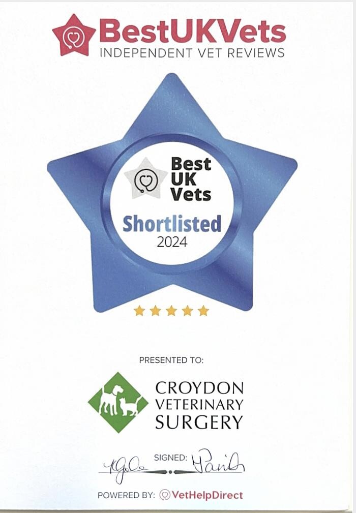 Images Croydon Veterinary Surgery