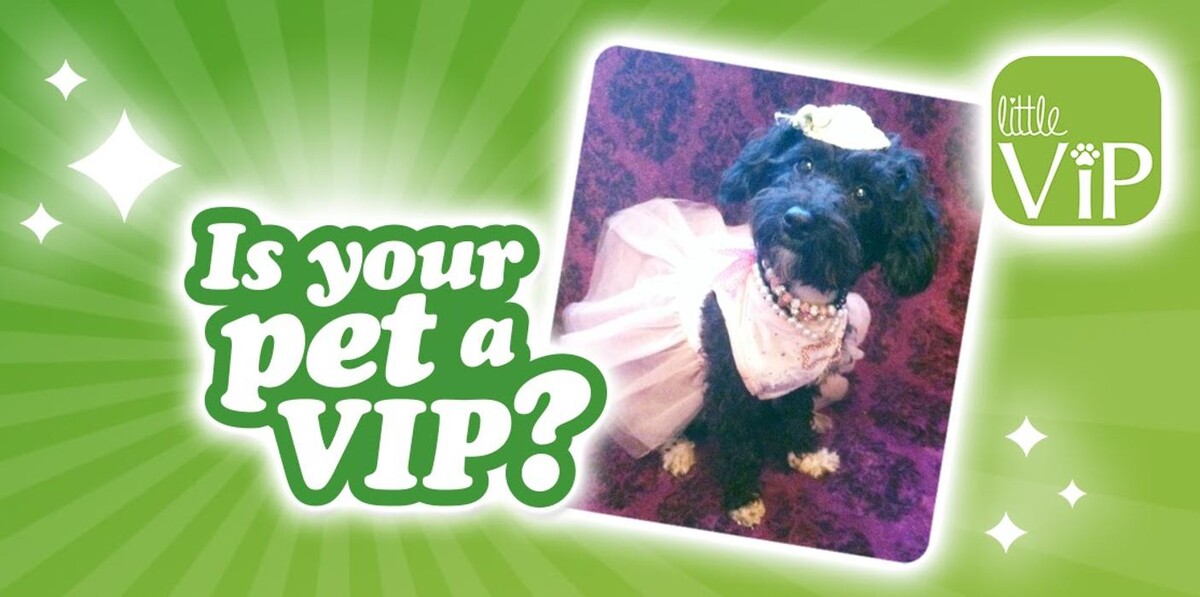 Images Croydon Veterinary Surgery