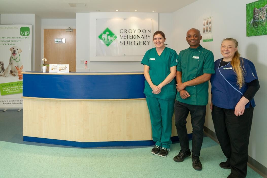 Images Croydon Veterinary Surgery