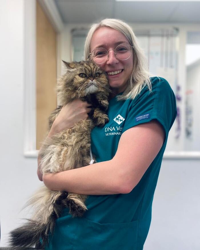 Images Croydon Veterinary Surgery