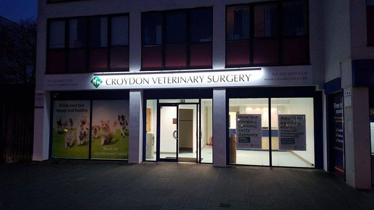 Images Croydon Veterinary Surgery