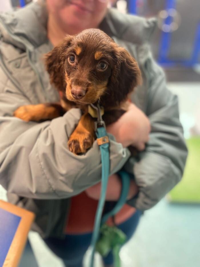 Images Croydon Veterinary Surgery