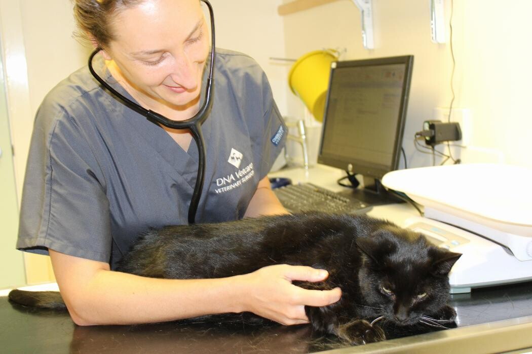 Images Croydon Veterinary Surgery