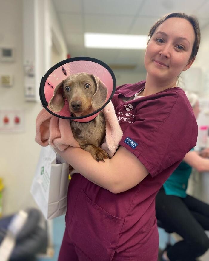 Images Croydon Veterinary Surgery