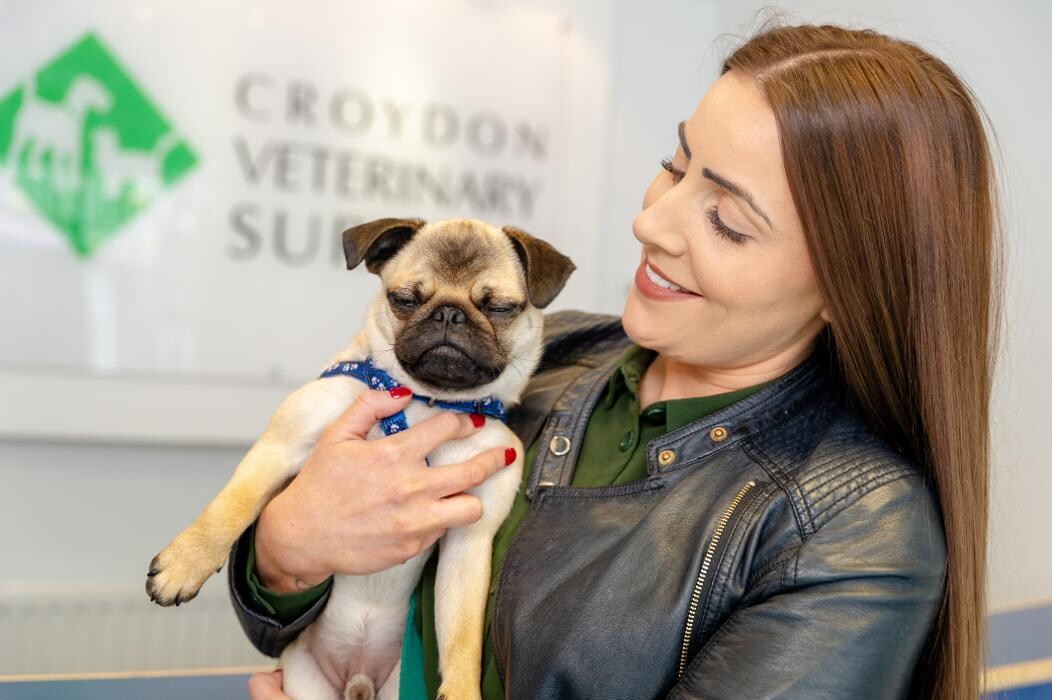 Images Croydon Veterinary Surgery