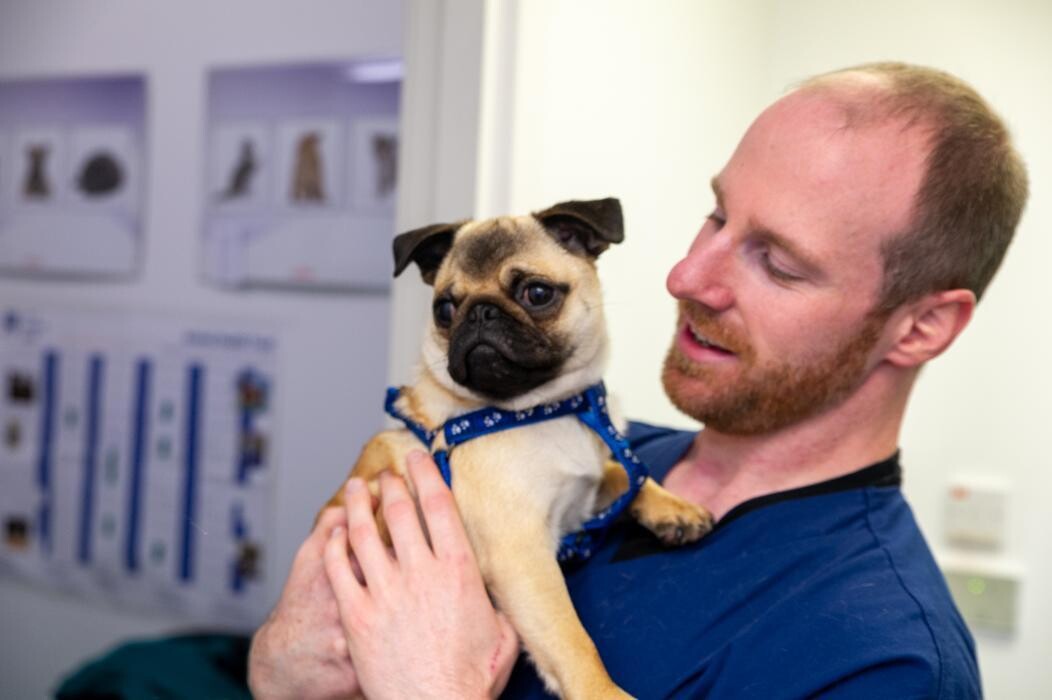 Images Croydon Veterinary Surgery