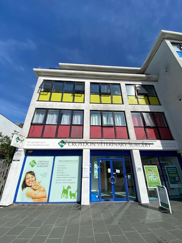 Images Croydon Veterinary Surgery