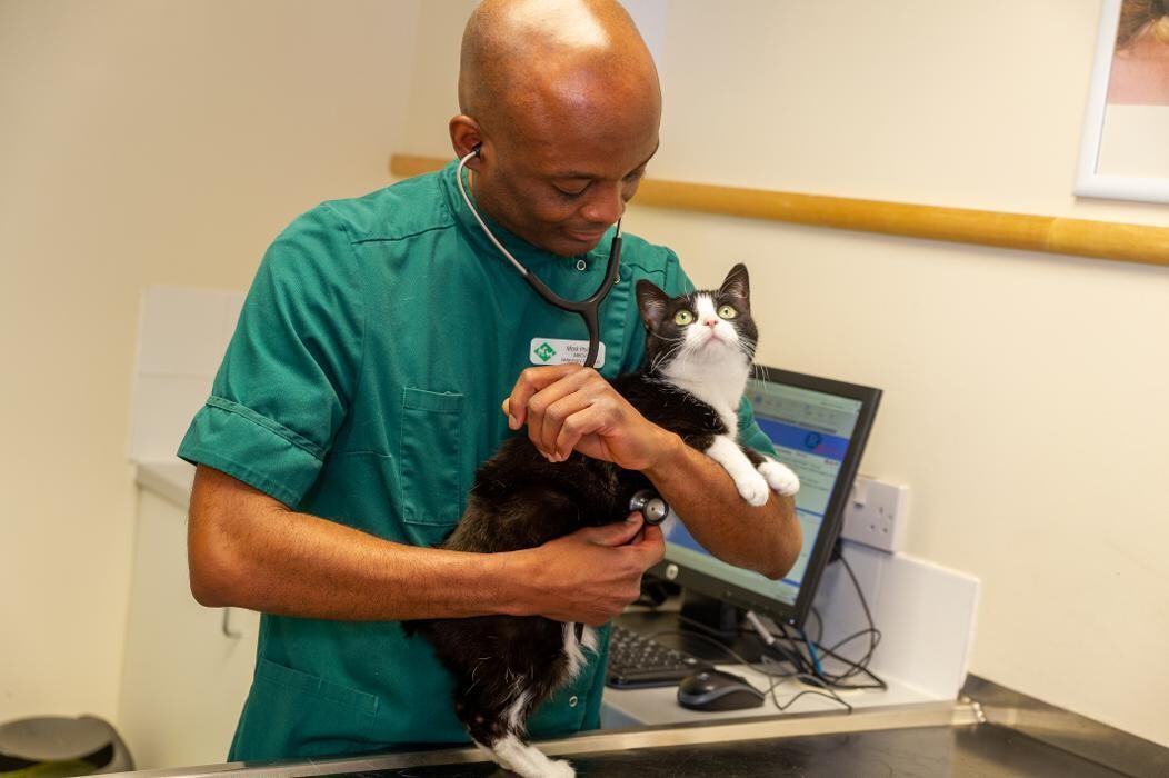 Images Croydon Veterinary Surgery