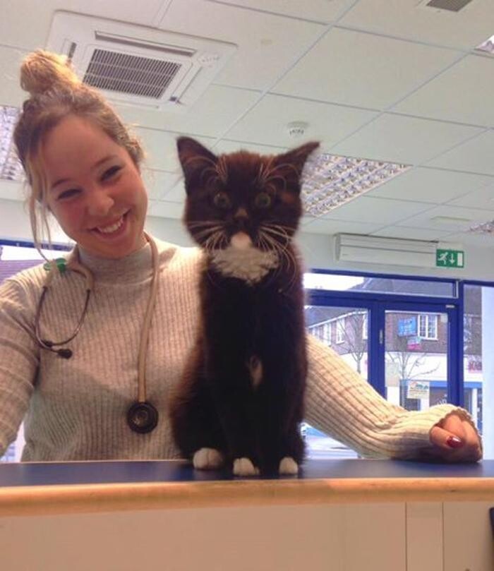 Images Croydon Veterinary Surgery