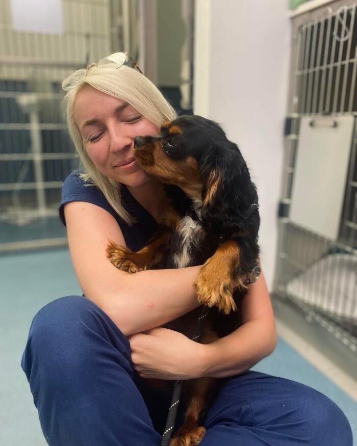 Images Croydon Veterinary Surgery