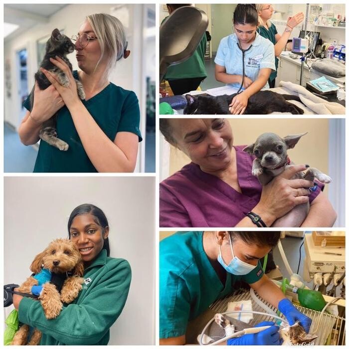 Images Croydon Veterinary Surgery