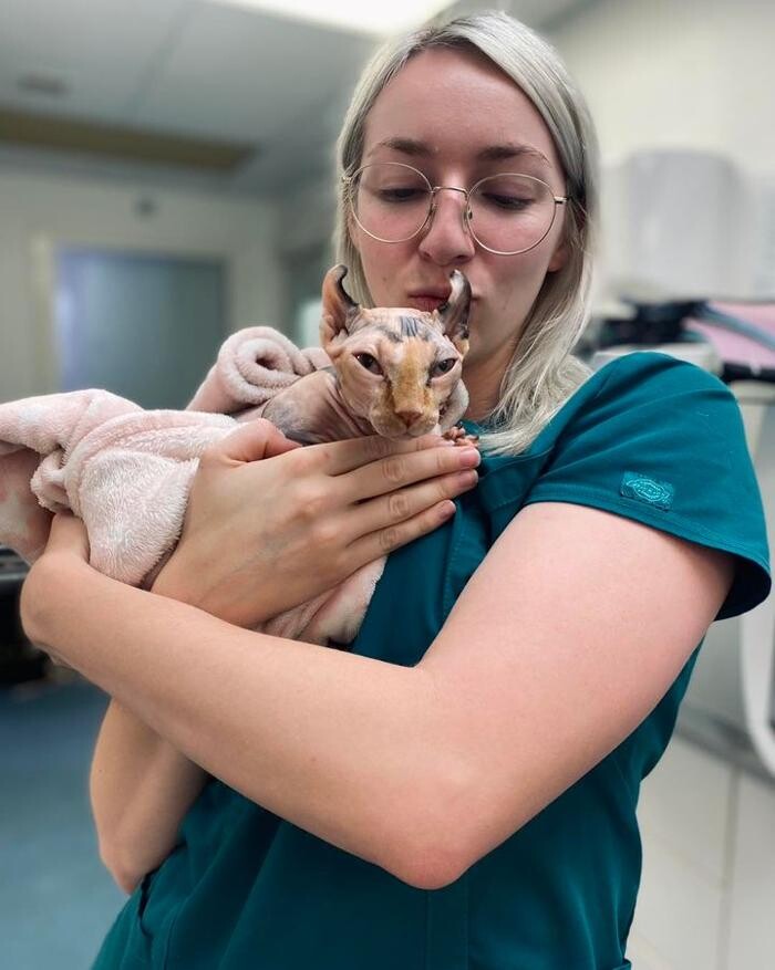 Images Croydon Veterinary Surgery