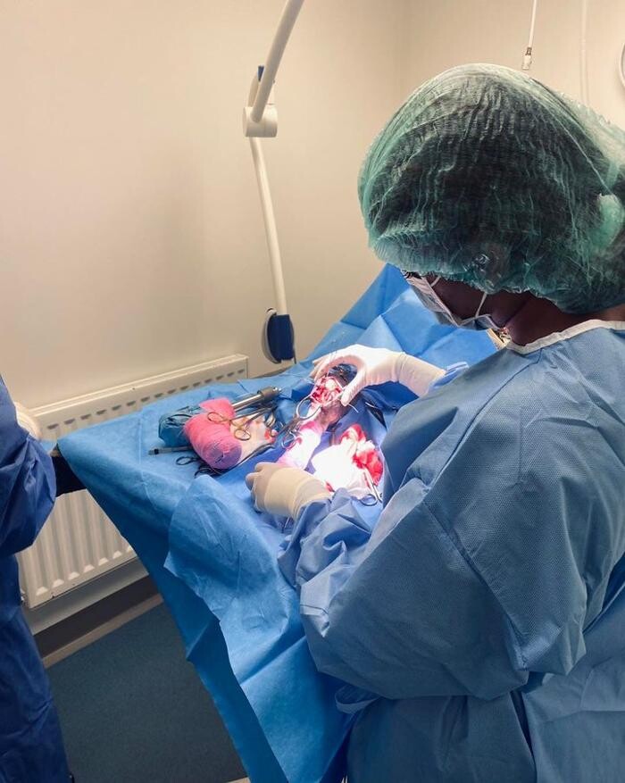 Images Croydon Veterinary Surgery