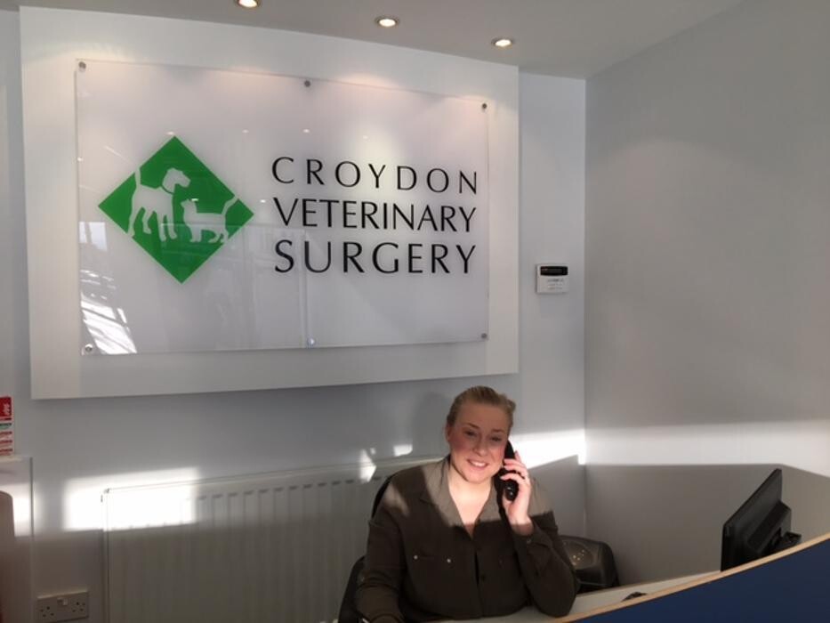 Images Croydon Veterinary Surgery