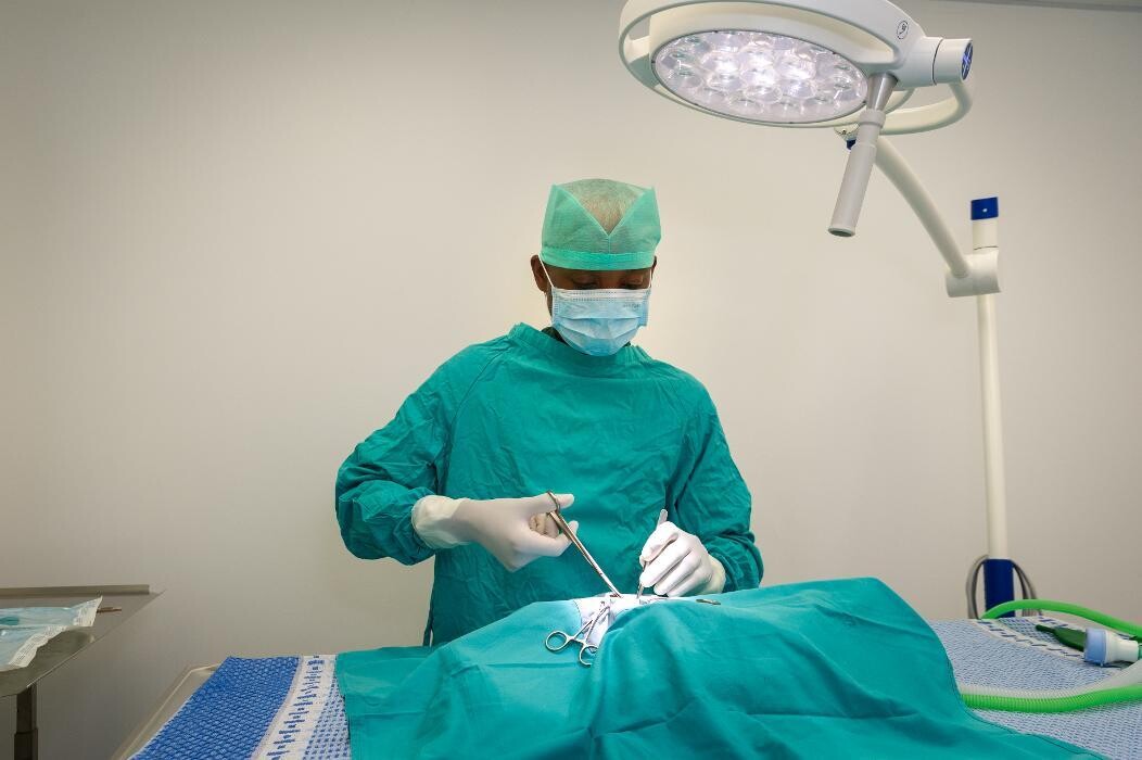 Images Croydon Veterinary Surgery