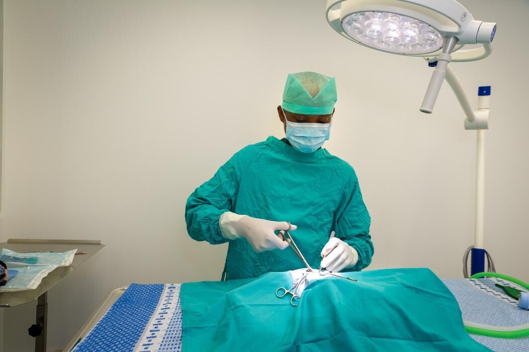 Images Croydon Veterinary Surgery