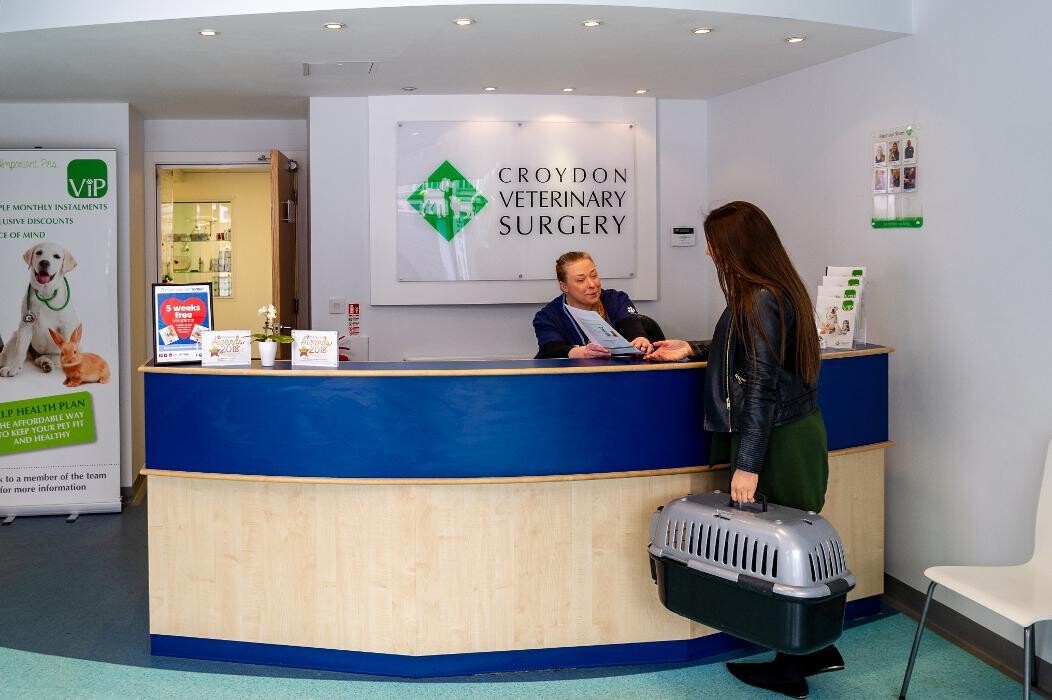 Images Croydon Veterinary Surgery