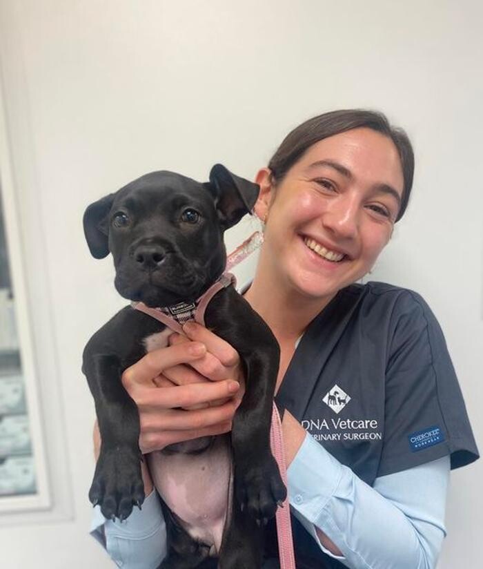 Images Croydon Veterinary Surgery