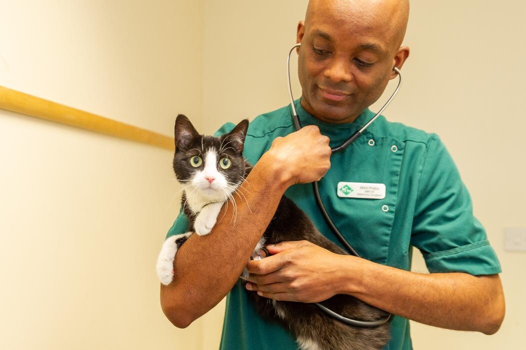 Images Croydon Veterinary Surgery