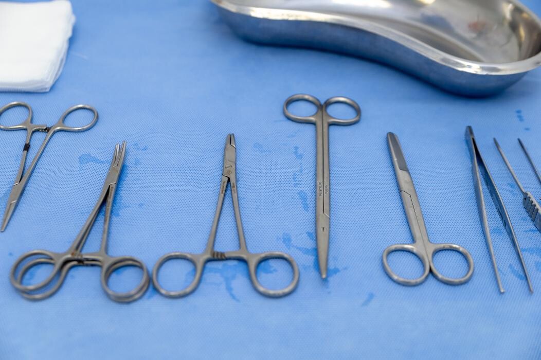 Images Croydon Veterinary Surgery