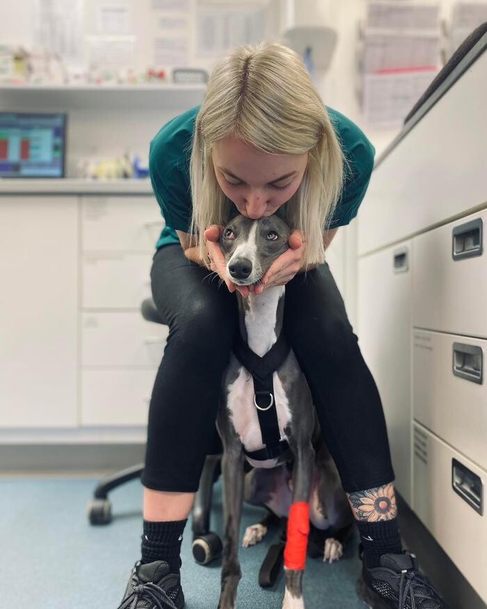 Images Croydon Veterinary Surgery