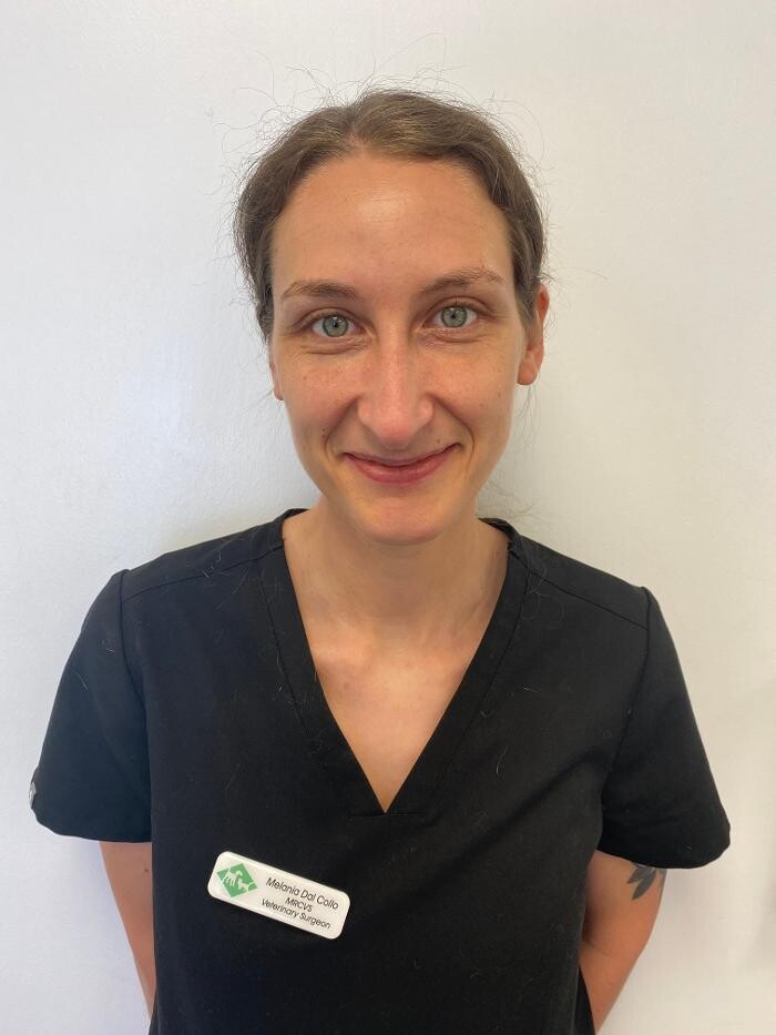 Images Croydon Veterinary Surgery