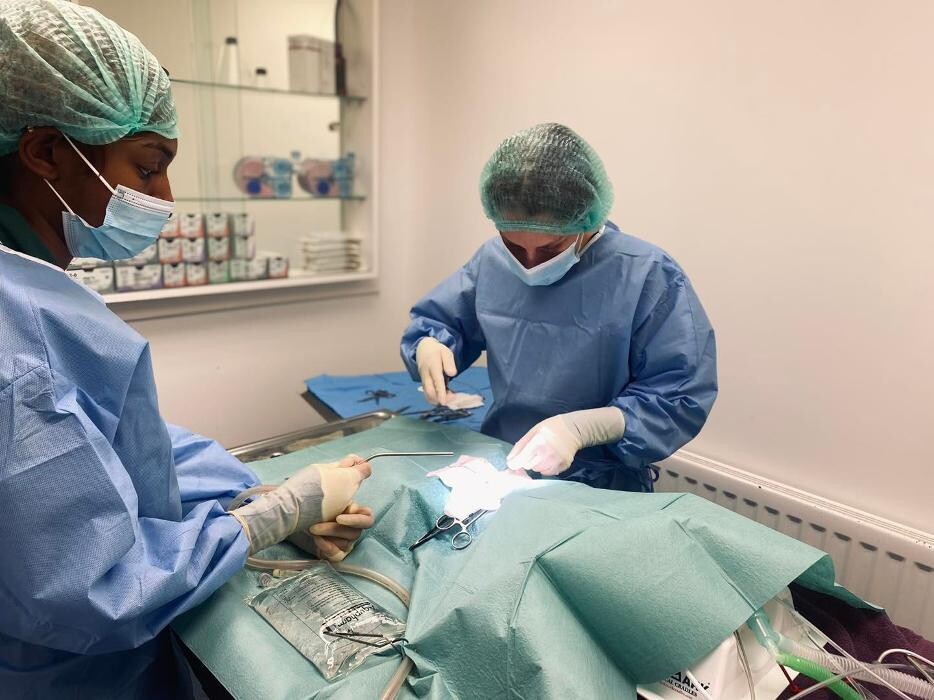 Images Croydon Veterinary Surgery