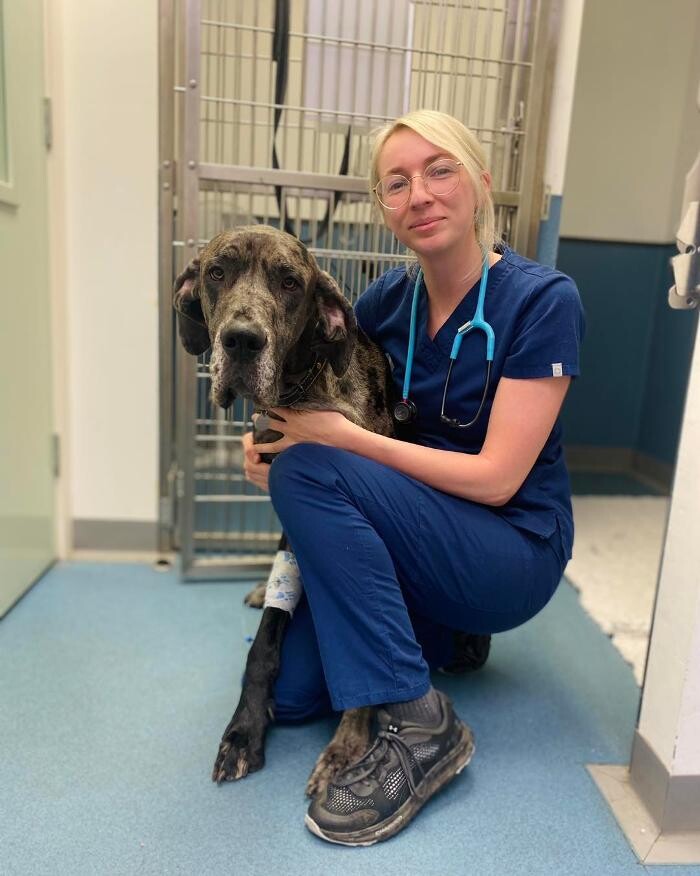 Images Croydon Veterinary Surgery