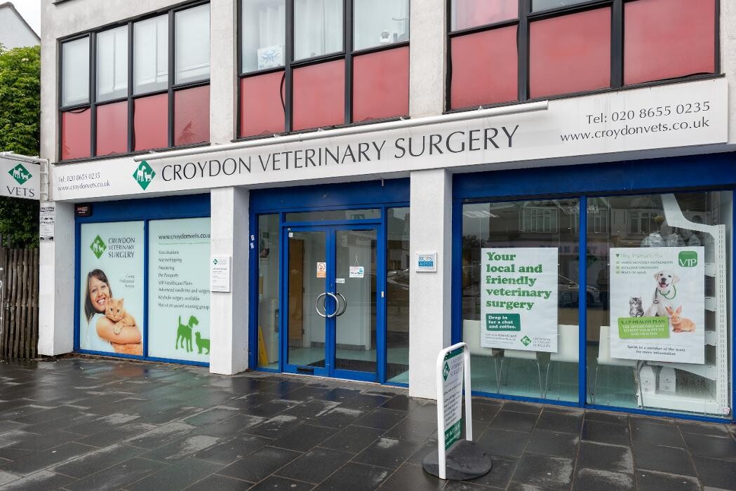 Images Croydon Veterinary Surgery