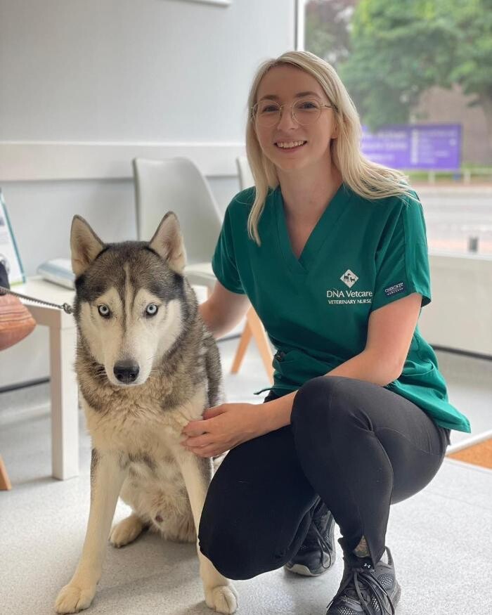 Images Croydon Veterinary Surgery