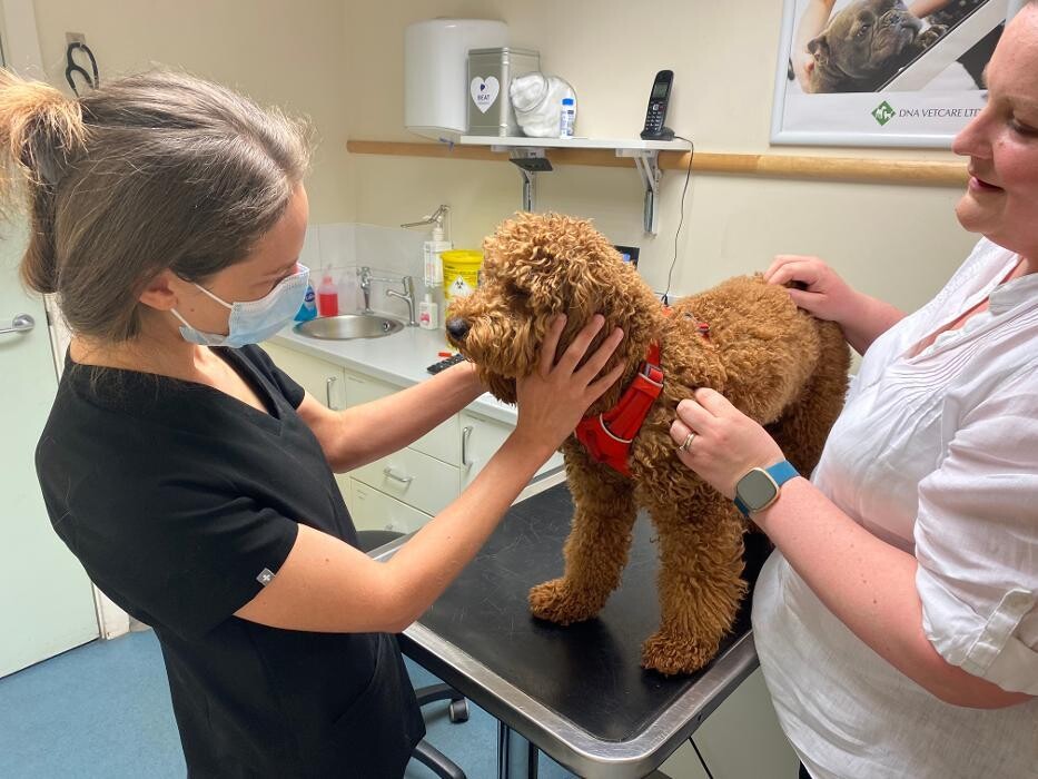 Images Croydon Veterinary Surgery