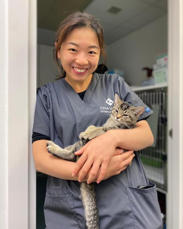 Images Croydon Veterinary Surgery