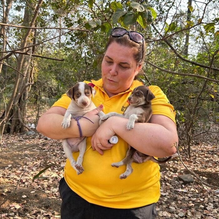 Images Croydon Veterinary Surgery