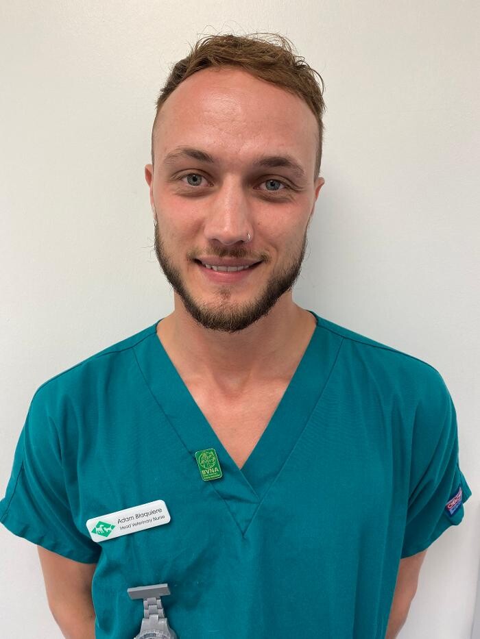 Images Croydon Veterinary Surgery