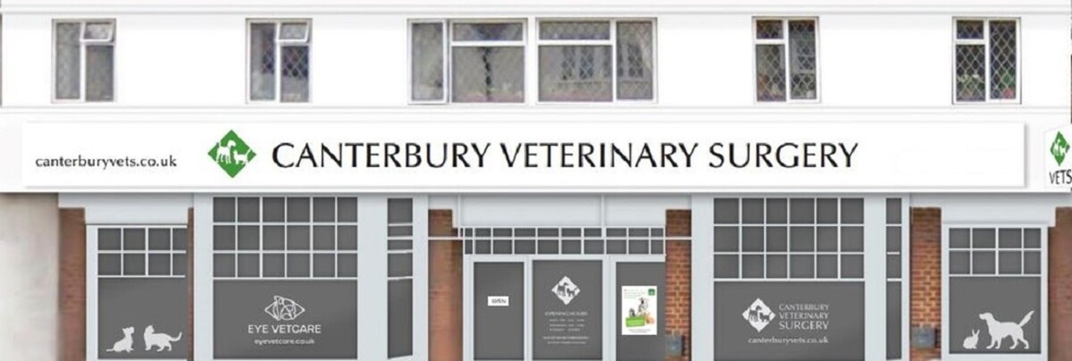 Images Canterbury Veterinary Surgery