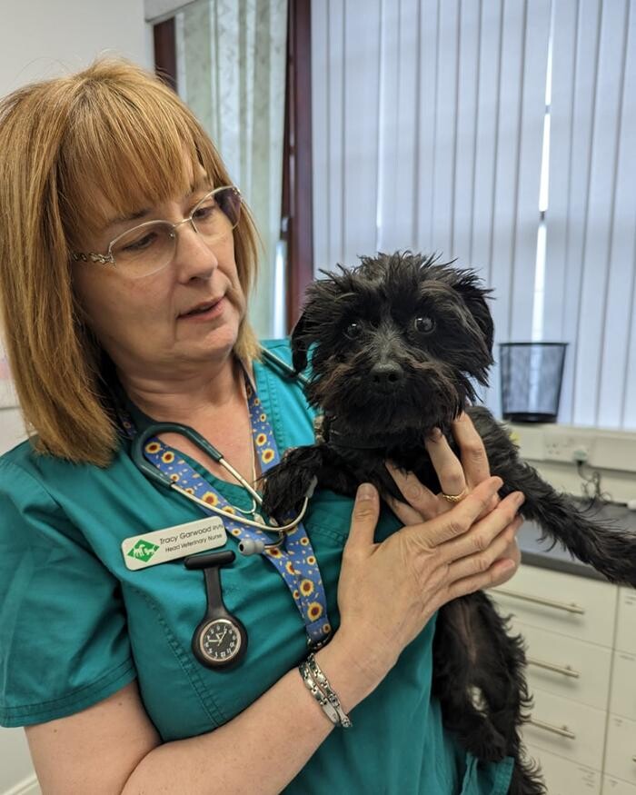 Images Canterbury Veterinary Surgery