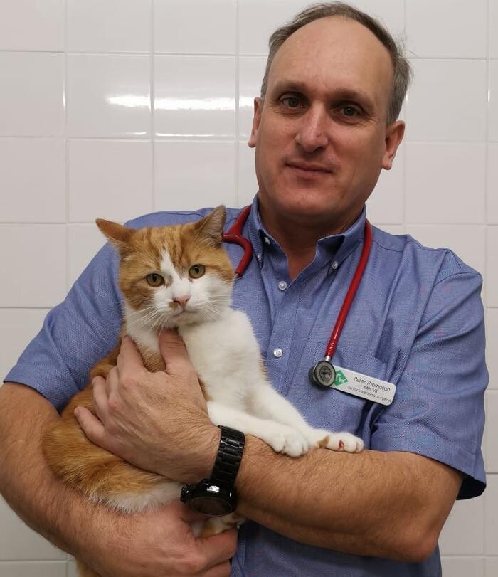 Images Canterbury Veterinary Surgery