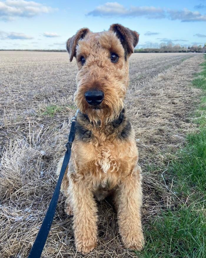 Images Canterbury Veterinary Surgery