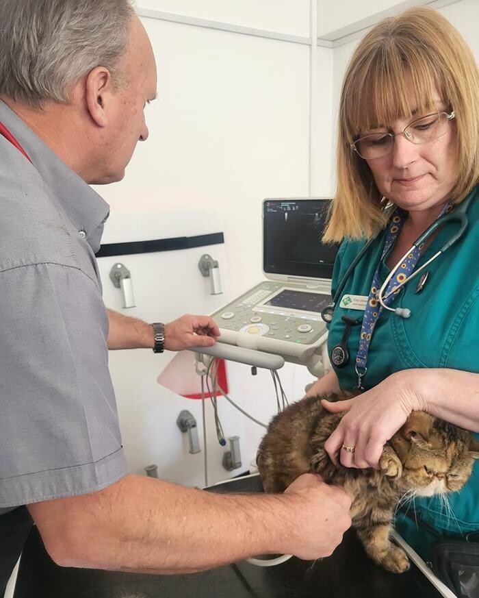 Images Canterbury Veterinary Surgery