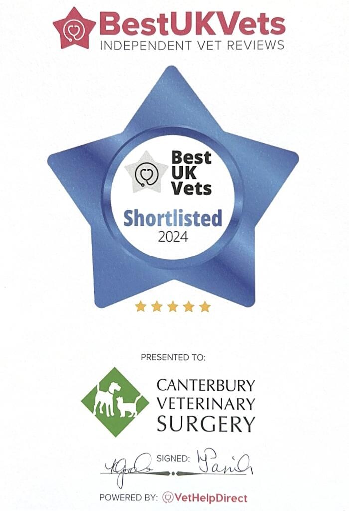 Images Canterbury Veterinary Surgery