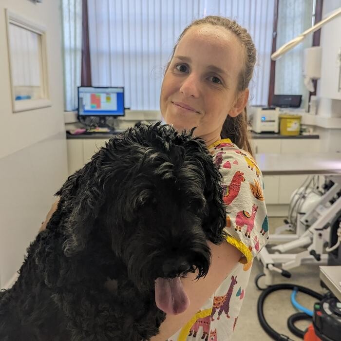 Images Canterbury Veterinary Surgery