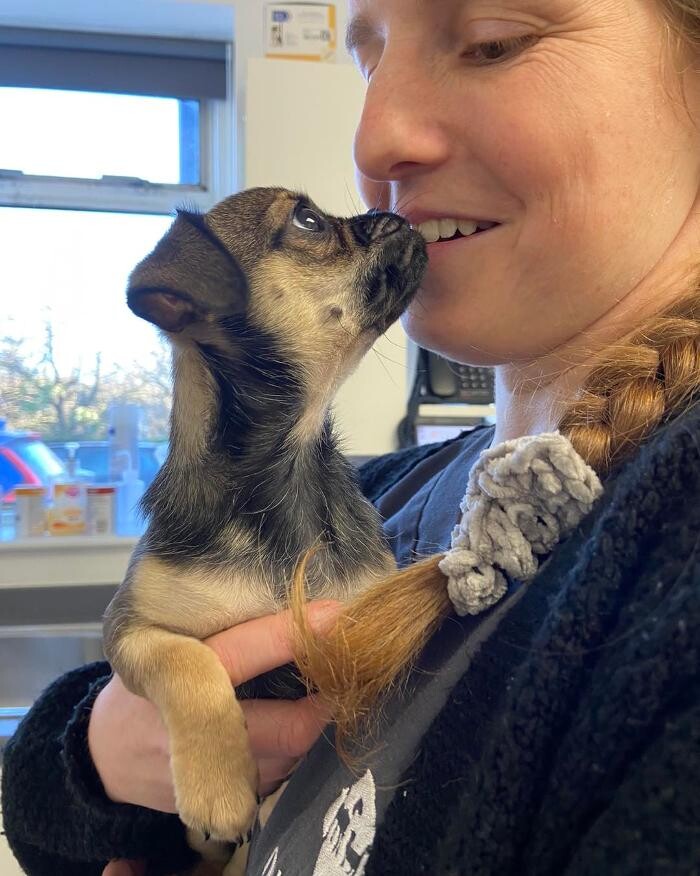 Images Canterbury Veterinary Surgery