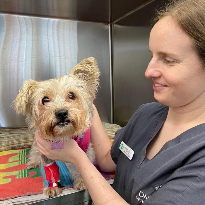 Images Canterbury Veterinary Surgery