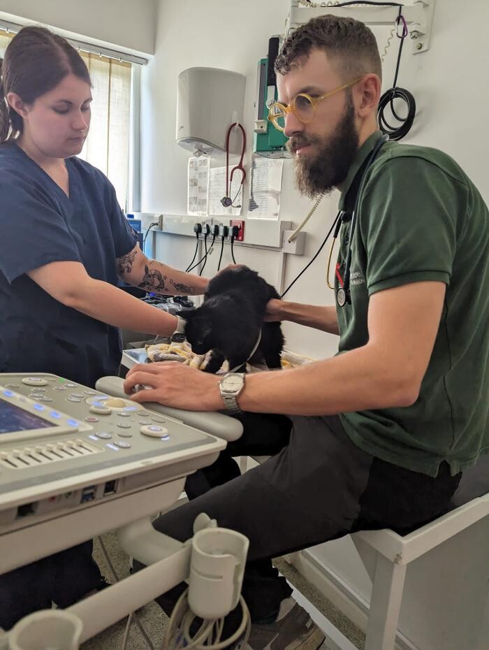 Images Canterbury Veterinary Surgery