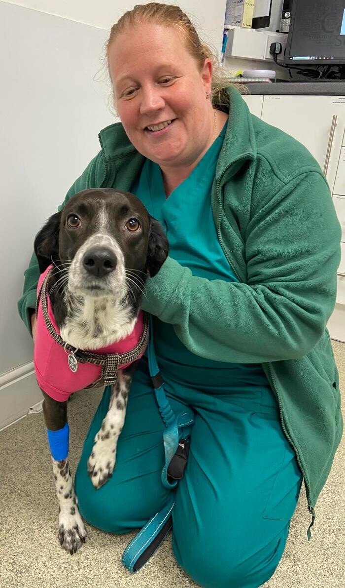 Images Canterbury Veterinary Surgery