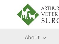 Website Screenshot Downs Link Veterinary Surgery