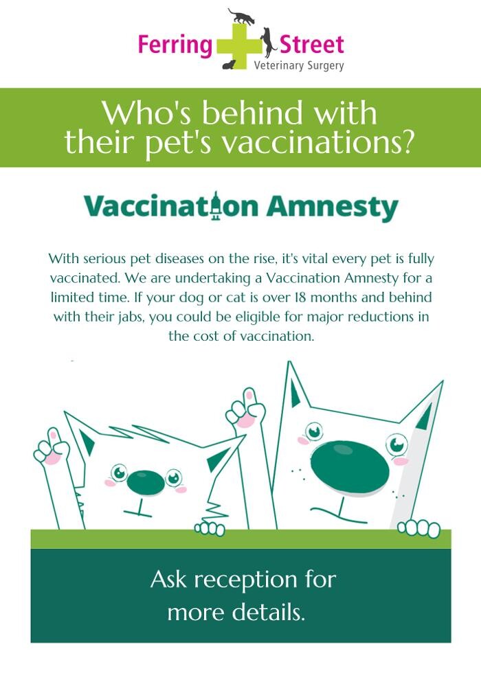 Images Ferring Street Vets, East Preston