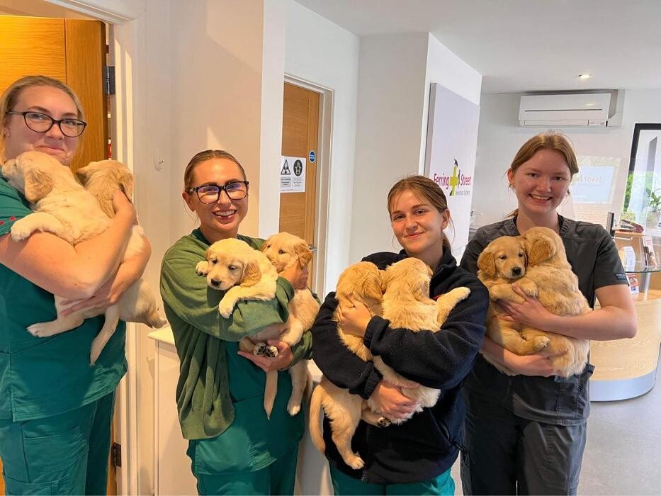 Images Ferring Street Vets, East Preston