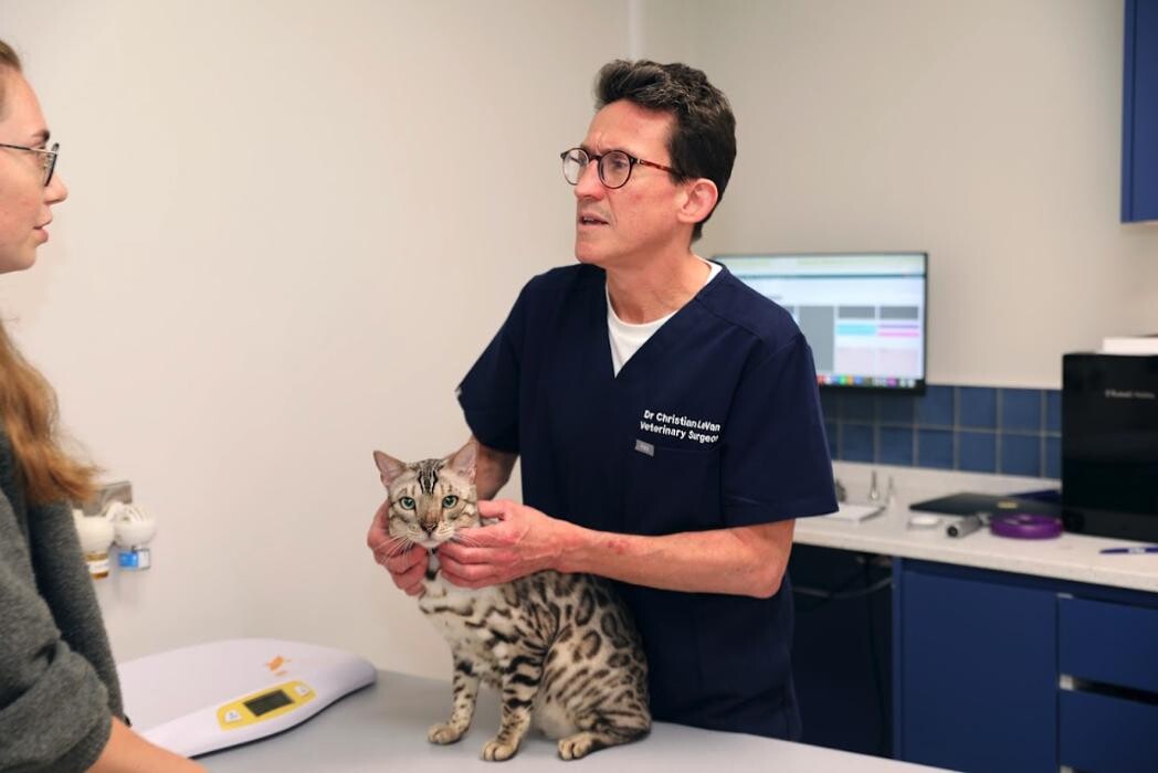 Images Hello Vet Clapton