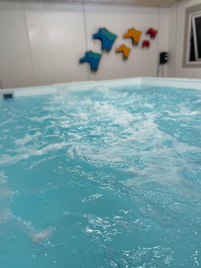 Images Panda Paws Hydrotherapy Ltd